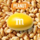 M&M's Peanut Milk Chocolate Candy Theater Box - 3.1 oz Box